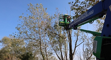 Kartepe’de Yeşil Alanlara Bakım